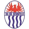 Logo SG Franken 06 Sennfeld