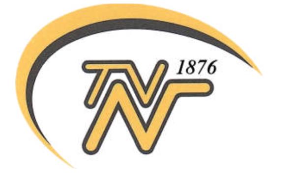 Logo TV Neckargemünd