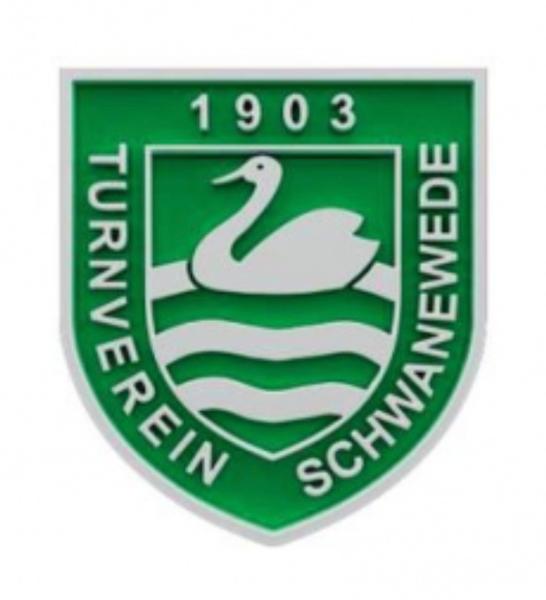 Logo TV Schwanewede